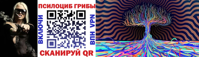 наркотики  Михайловск  Псилоцибиновые грибы Cubensis 