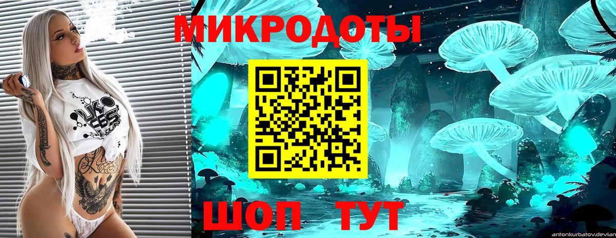 Михайловск  Псилоцибиновые грибы Psilocybe  Вход с VPN  хочу   Псилоцибиновые грибы мухоморы 
